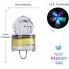 Multi-Color Fish Lure Light