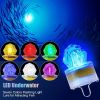 Multi-Color Fish Lure Light